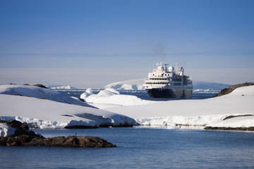 Wall Mural - cruise ship in antarctica