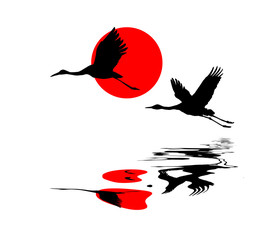Wall Mural - vector illustration of the cranes in sky on background red sun