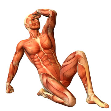 Muskelaufbau Mann in sitzender Pose