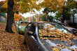 street at autumn
