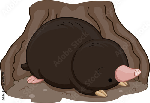 Dekostoffe - Cute Mole (von BNP Design Studio)