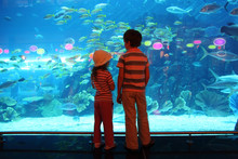 Boy And Girl Standing In Underwater Aquarium Tunnel