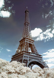 Fototapeta Fototapety z wieżą Eiffla - paris