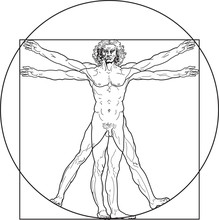 'Homo Vitruviano'. So-called The Vitruvian Man A.k.a. Leonardo's Man. Detailed Drawing On The Basis Of Artwork By Leonardo Da Vinci By Ancient Manuscript Of Roman Master Marcus Vitruvius Pollio.