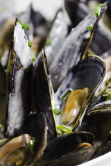 Poster - macro mussel