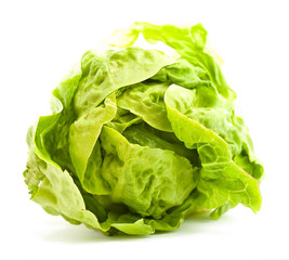 Wall Mural - lettuce