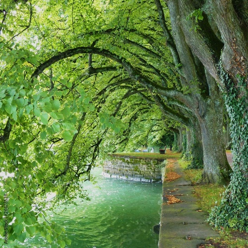 Obraz w ramie romantische Allee - Bodensee