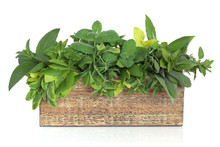 Herb Leaf Mixture