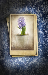 Wall Mural - Grungy denim with faded floral effect