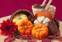 Ornamental Pumpkins And Pine Cones In Basket