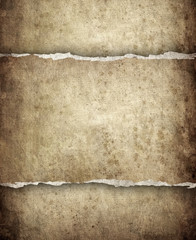 Wall Mural - grunge paper background