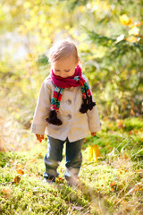 Canvas Print - Toddler girl walking at autumn forest