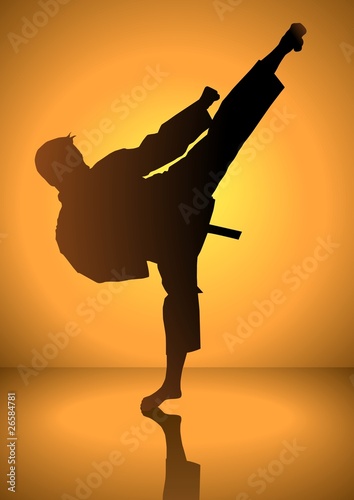 Fototapeta na wymiar Silhouette of a karateka doing standing side kick