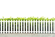White Picket Fence Strip With Green Garden Bushes