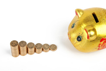 Poster - Golden piggy bank with coins