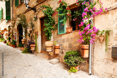 Naklejka - mata magnetyczna na lodówkę flowers on the wall