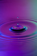 © Ruediger Rau - Splash 07
