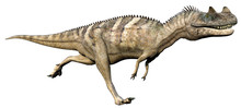 Ceratosaurus Side Running