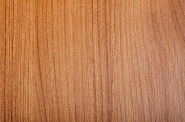 Wall Mural - Pattern of wood - can be used as background