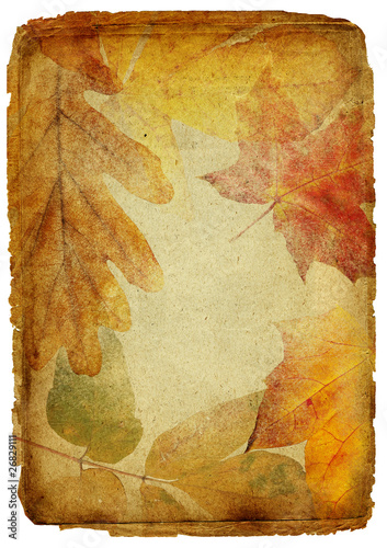 vintage autumn framed background