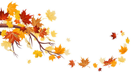 maple leaves