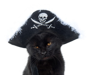 Poster - Black cat with pirate hat for Halloween