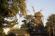 Windmill in Elmhurst