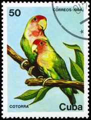 CUBA - CIRCA 1984 Parrots