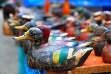 Duck Decoy Arrangement Colorful Row
