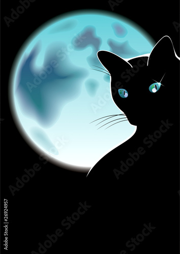 Foto-Vorhang - black cat (von J-Sho)