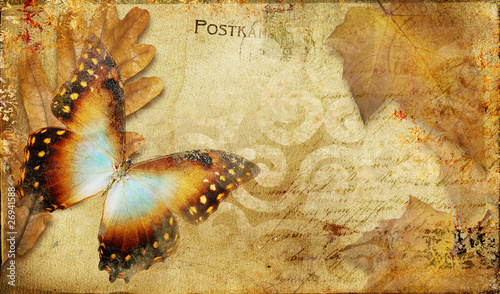 vintage autumn card with leaves and butterfly