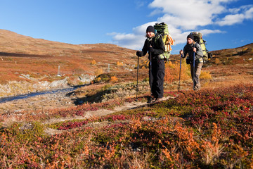 Wall Mural - junges paar bei einer trekkingtour in lappland
