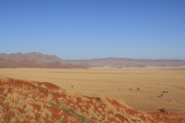 Wall Mural - Désert du Namib