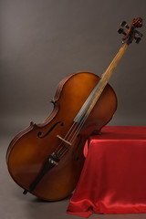 Wall Mural - old cello