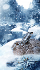 Wall Mural - hare in winter forest