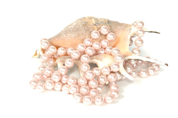 Wall Mural - Seashell and pearl necklace