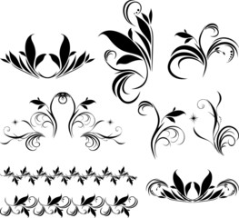 Wall Mural - Set of decorative floral elements for design. Vector