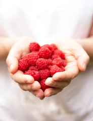 Hands Holding Ripe Raspberries