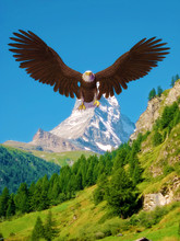 American Bald Eagle Blue Sky Mountain Landing