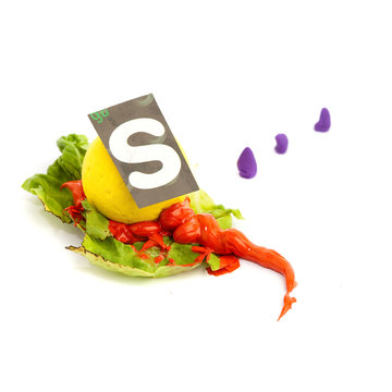 S letter