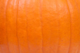 Fototapeta Tulipany - background of pumpkin in closeup