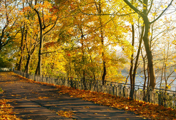 Wall Mural - Autumn park