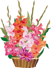 Gladiolus Flowers In Basket