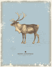 Retro Christmas/winter Background With Reindeer