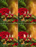 Fototapeta Tulipany - 1., 2., 3., 4. Advent