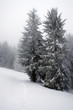 Polskie góry Beskidy zimą