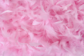 Small pink feathers in pile | Texture