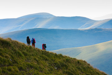 Wall Mural - Hiking in the Carpathian mountains