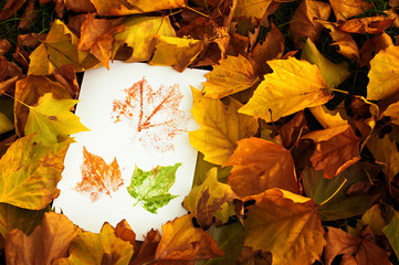 Autum Prints Amongst Leaves