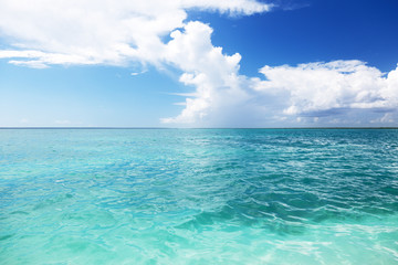 Wall Mural - ocean and perfect sky